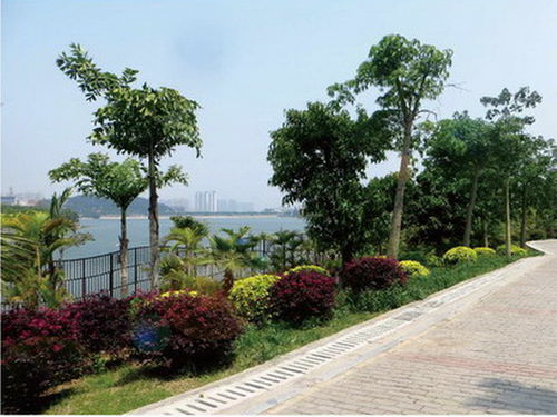 廈門(mén)湖邊水庫(kù)片區(qū)景觀工程