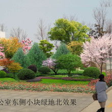  武漢海林尚閣景觀公司 主營(yíng) 園林設(shè)計(jì) 園林施工圖